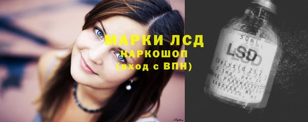 твердый Вяземский