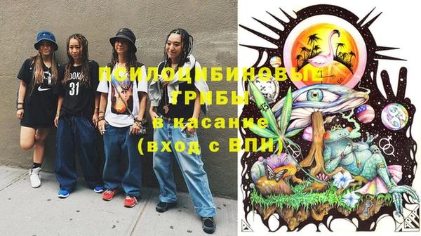 твердый Вяземский