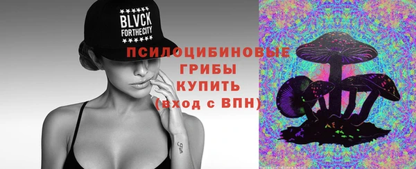 первитин Володарск